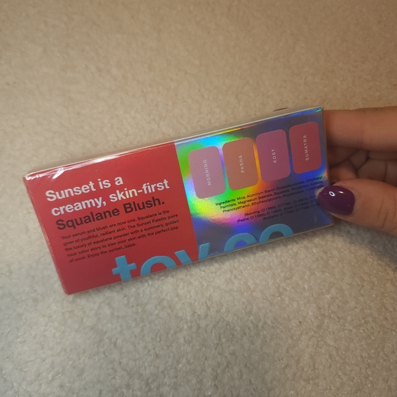 Toy Factory Sunset Blush Palette - Picture 4 of 5